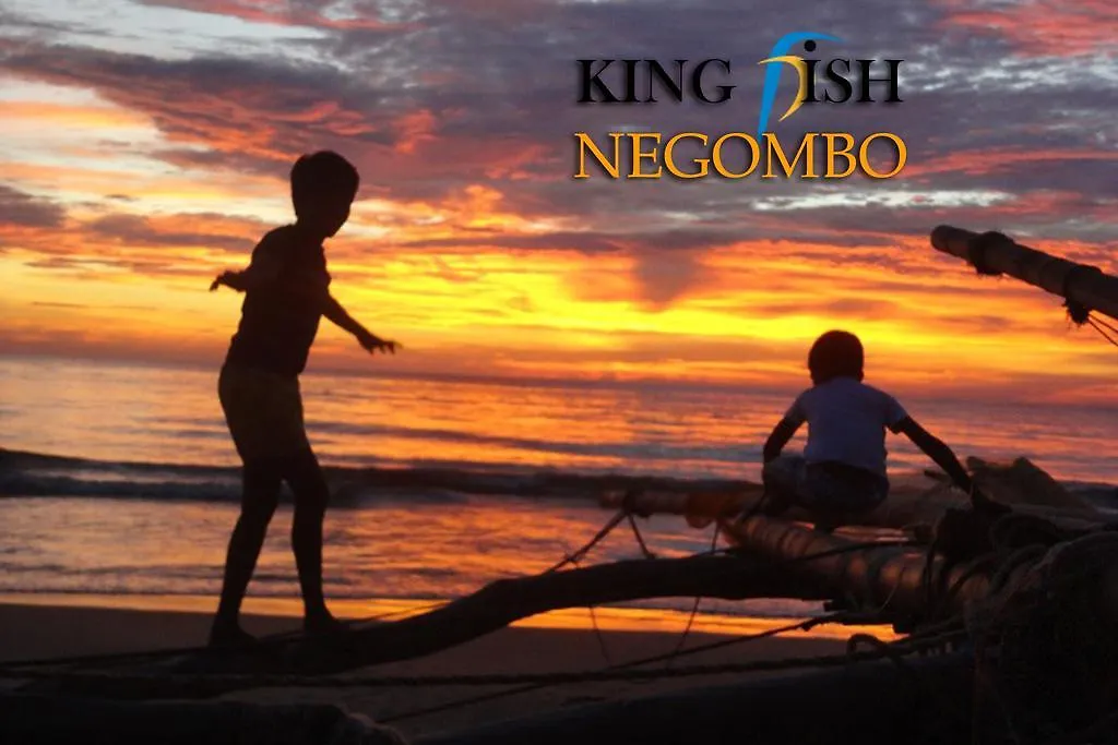 King Fish Guest House-1